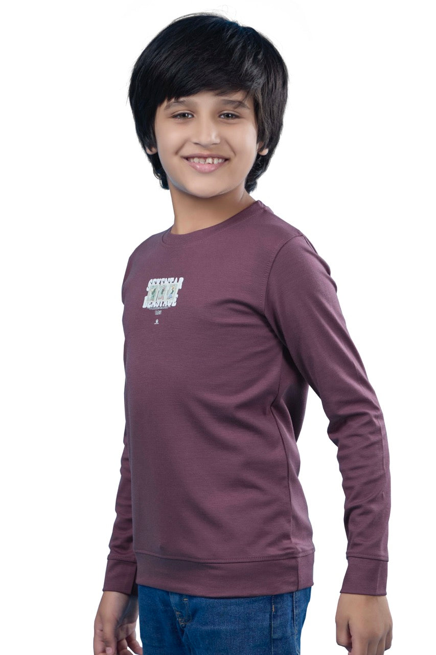 Urban Casual Full Sleeves Purple Sweatshirt
