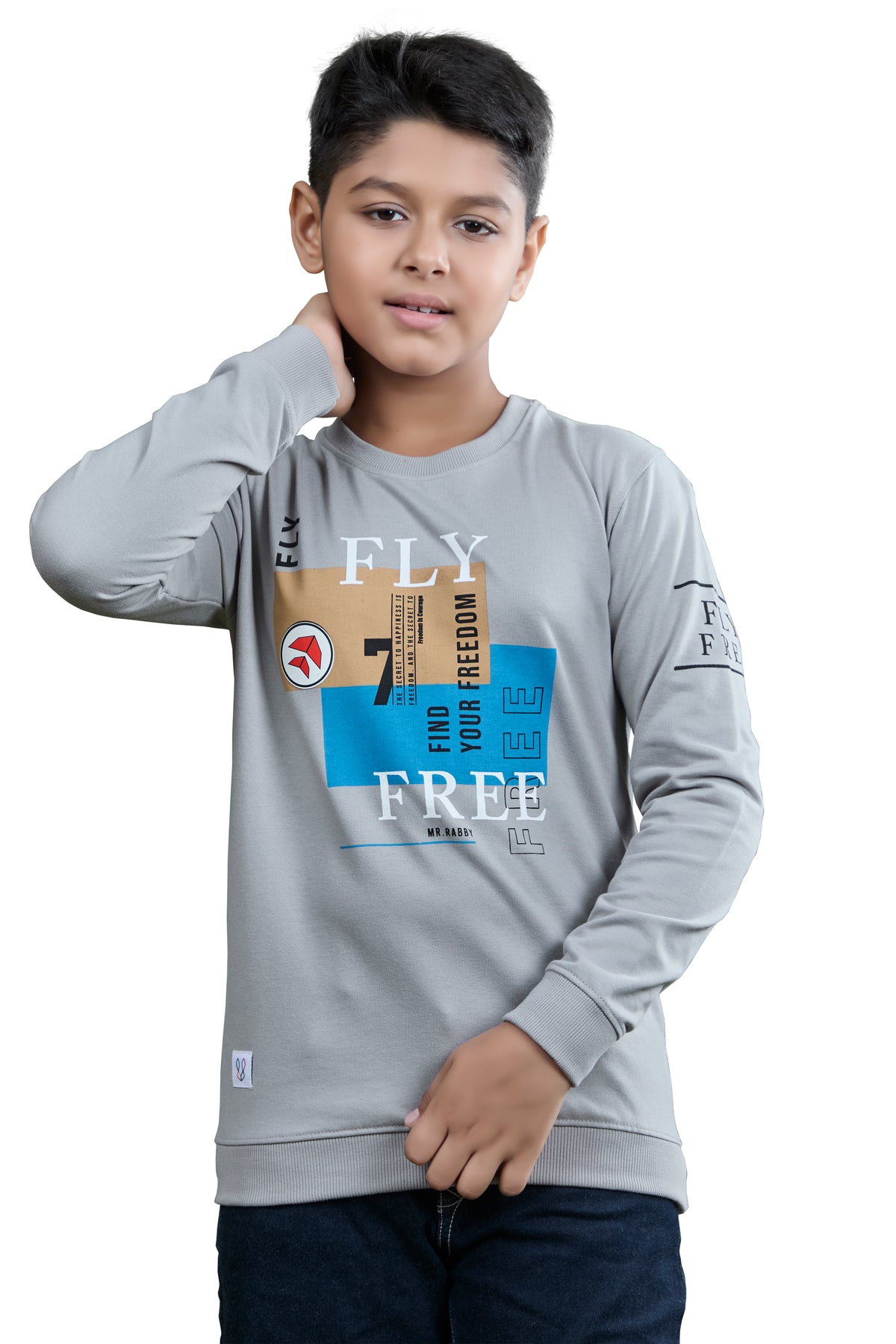 Light Grey Fly Free Graphic Boys Sweatshirt
